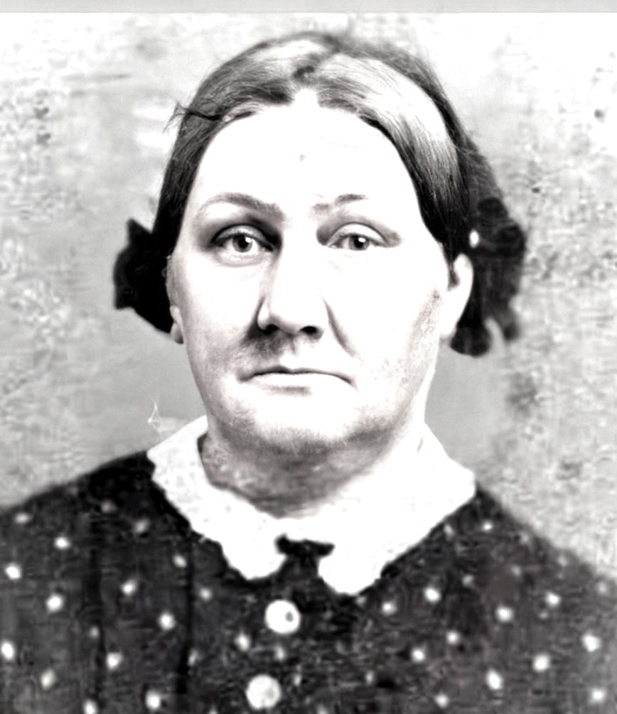 Susannah Z Dubois (1816 - 1885) Profile